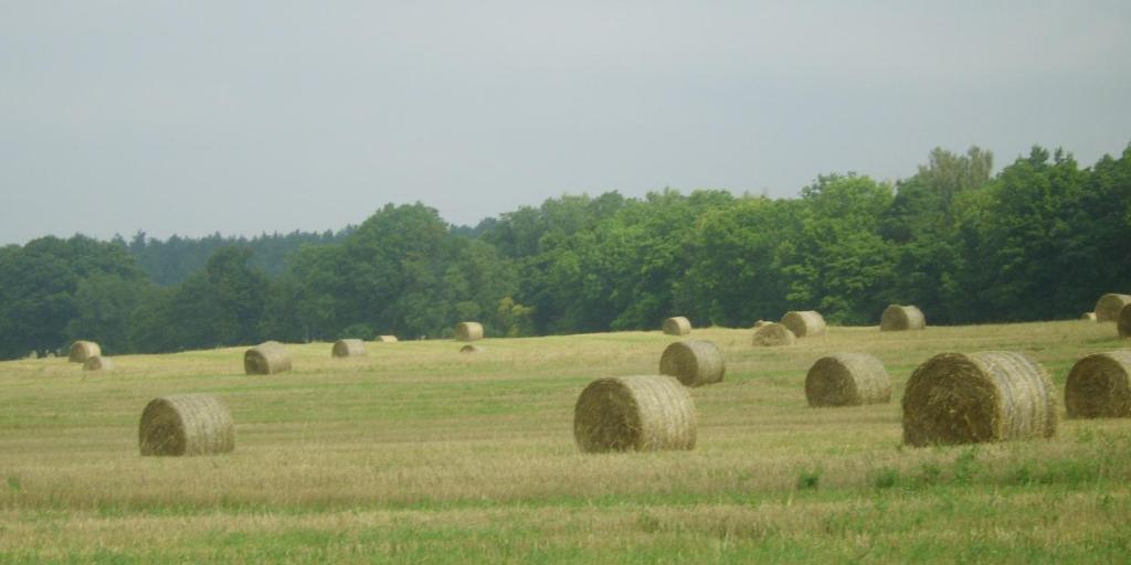 Gospodarstwo Agroturystyczne Lesniczowka Lubin  Ngoại thất bức ảnh